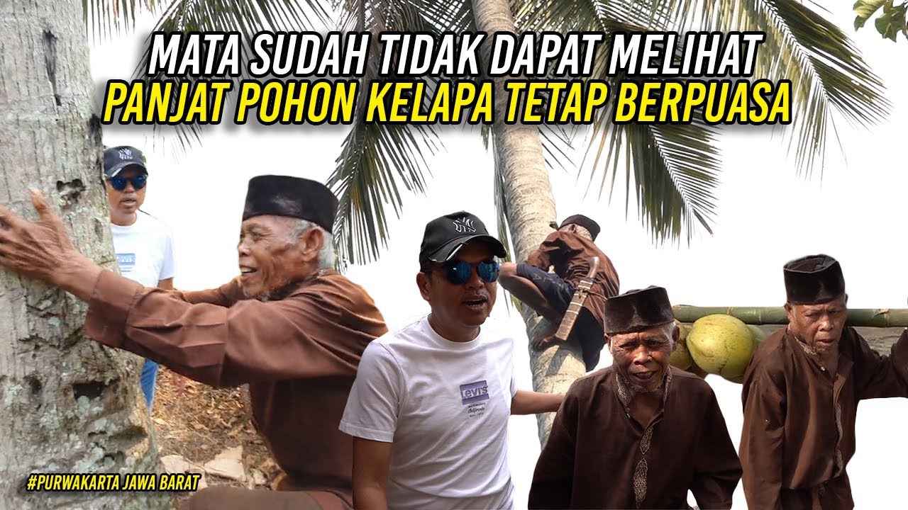 MESKI USIA SUDAH SANGAT TUA DAN PANDANGAN KABUR-KI AJI PANJAT KELAPA TETAP BERPUASA