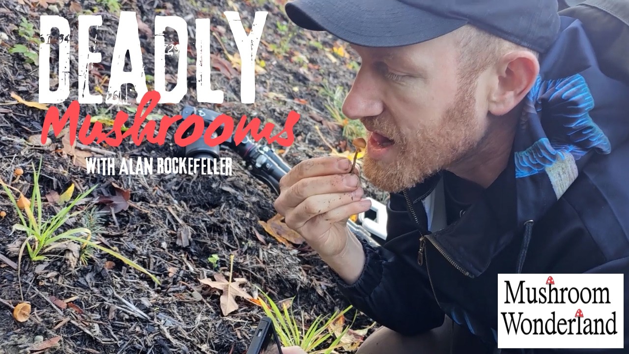 Deadly Mushrooms with Alan Rockefeller
