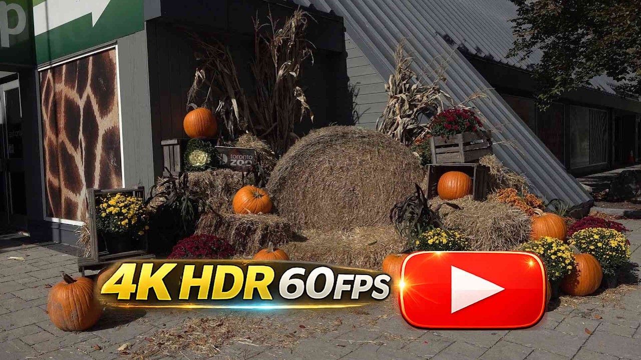 🐵 Toronto Zoo 🎃 Thanksgiving 👪📷 Photo Friendly Family Experience 2023 🐧 (4K HDR)