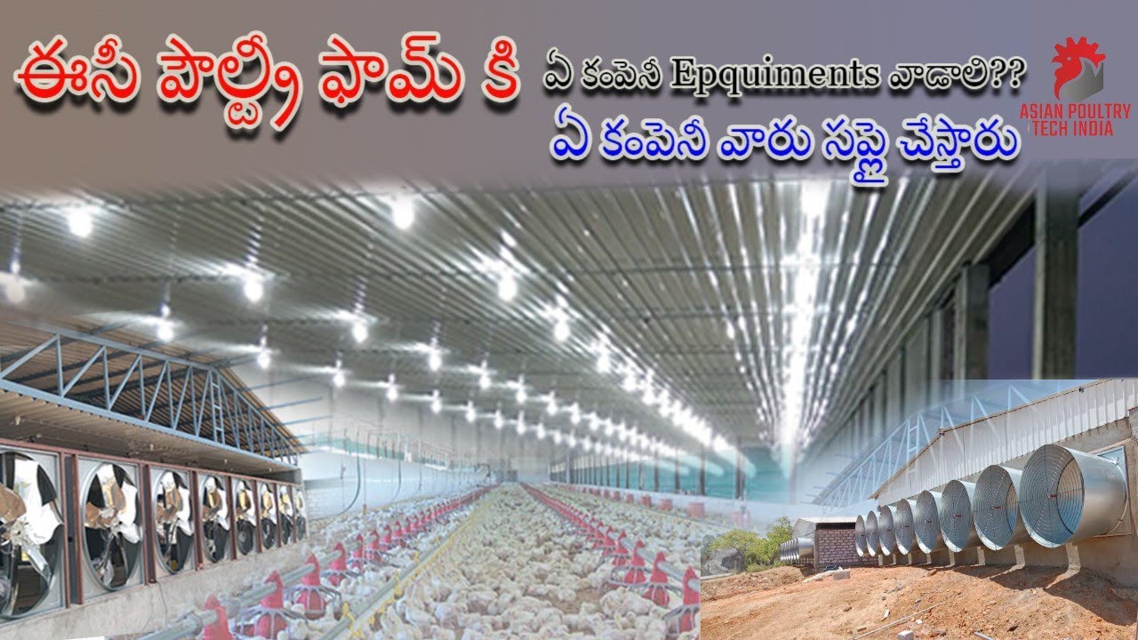 EC poultry farm|ఈసీ పౌల్ట్రీ ఫామ్ కి ఏ కంపెనీ Epquiments వాడాలి??🐣 ఏ కంపెనీ వారు సప్లై చేస్తారు?