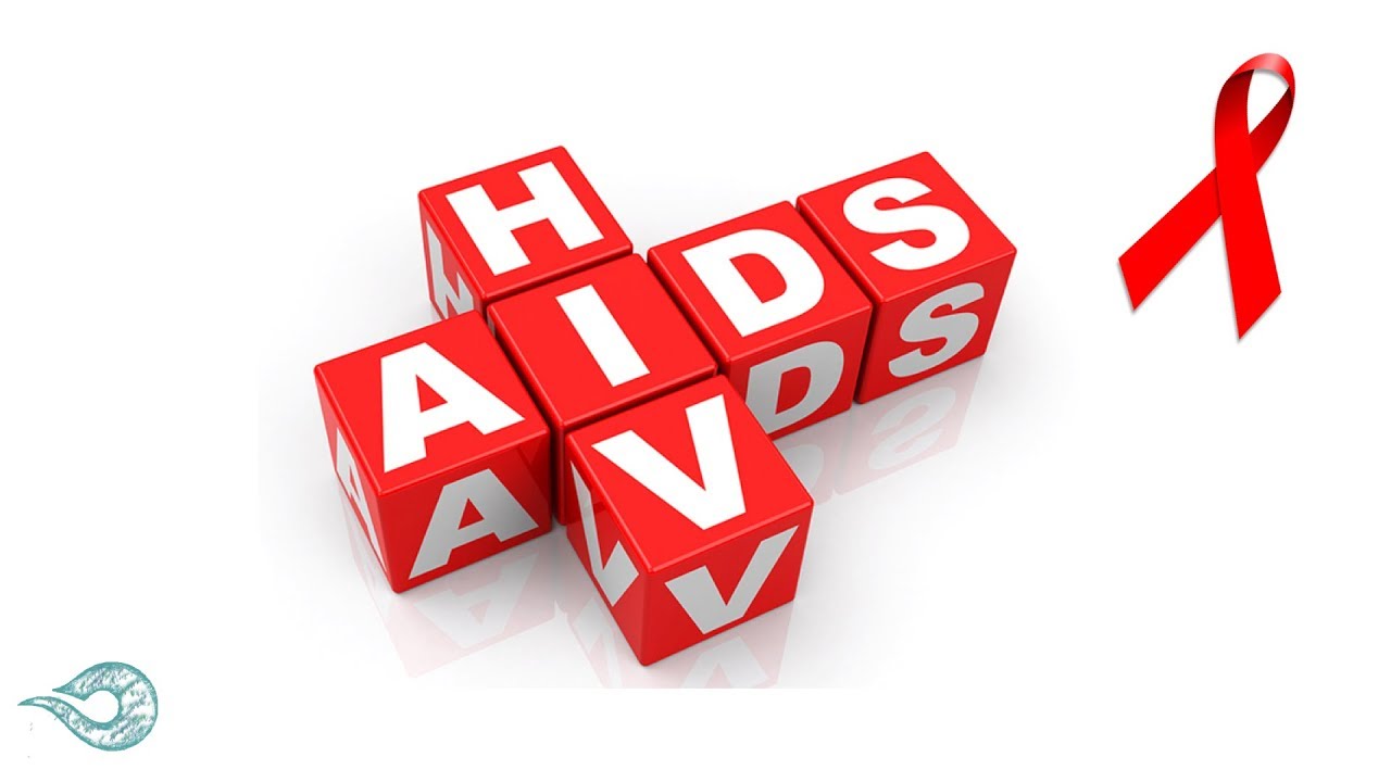 Minden, amit a HIV-ről és az AIDS-ről tudnod kell | hormonmentes