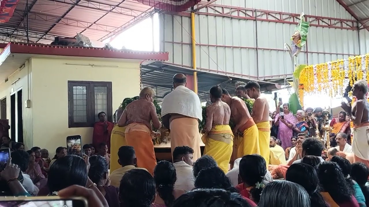 Ammankoda മഹോത്സവം 2026🙏🏻മഞ്ഞനീരാട്ട് #short video #shorts #blessed 