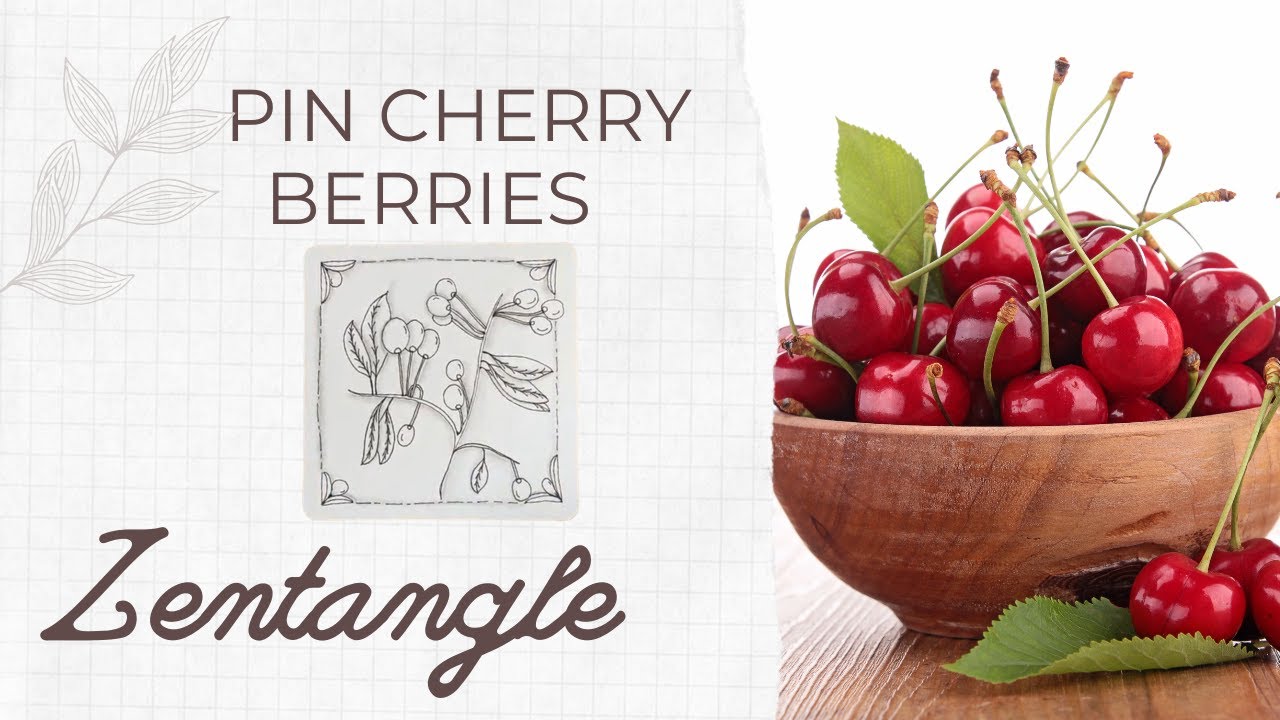 Pin Cherry Berries | Zentangle | Tangle with Me