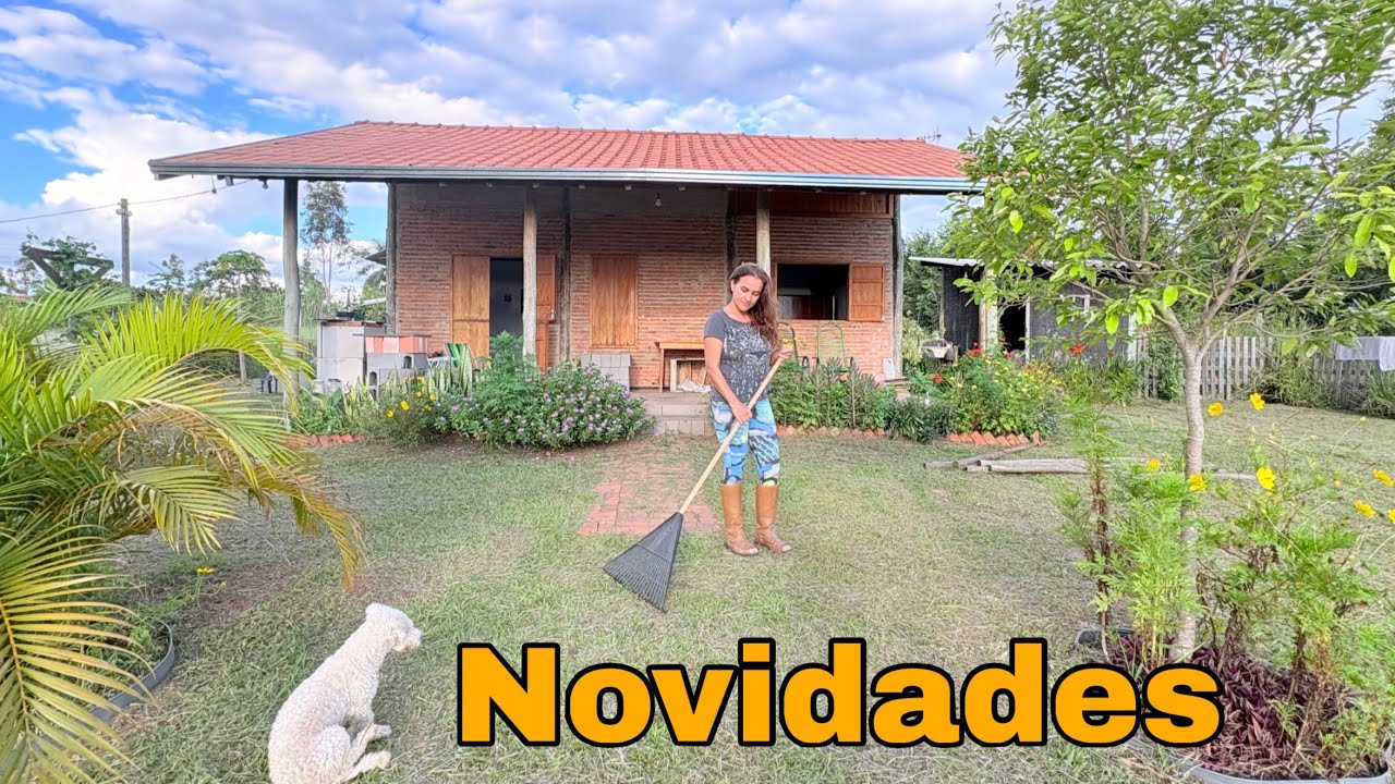 Começamos um sítio do zero | Muito trabalho na roça depois das chuvas, temos novidades! Simple Life