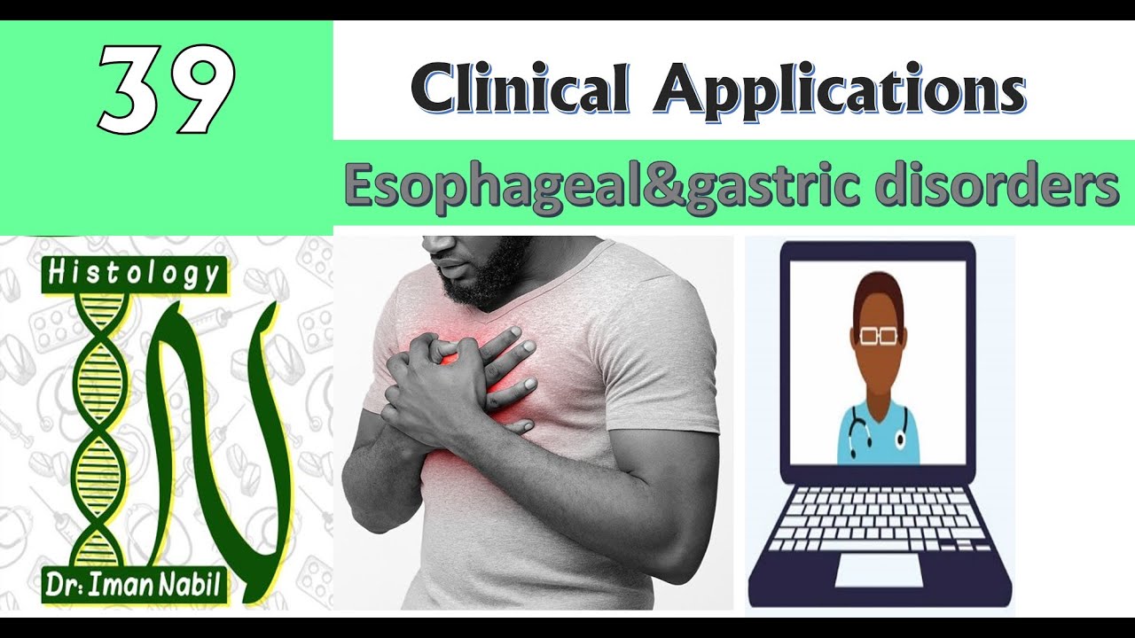 39-Oesophagus and Stomach disordersالميكروب الحلزونى و غيره-Clinical applications of Histology