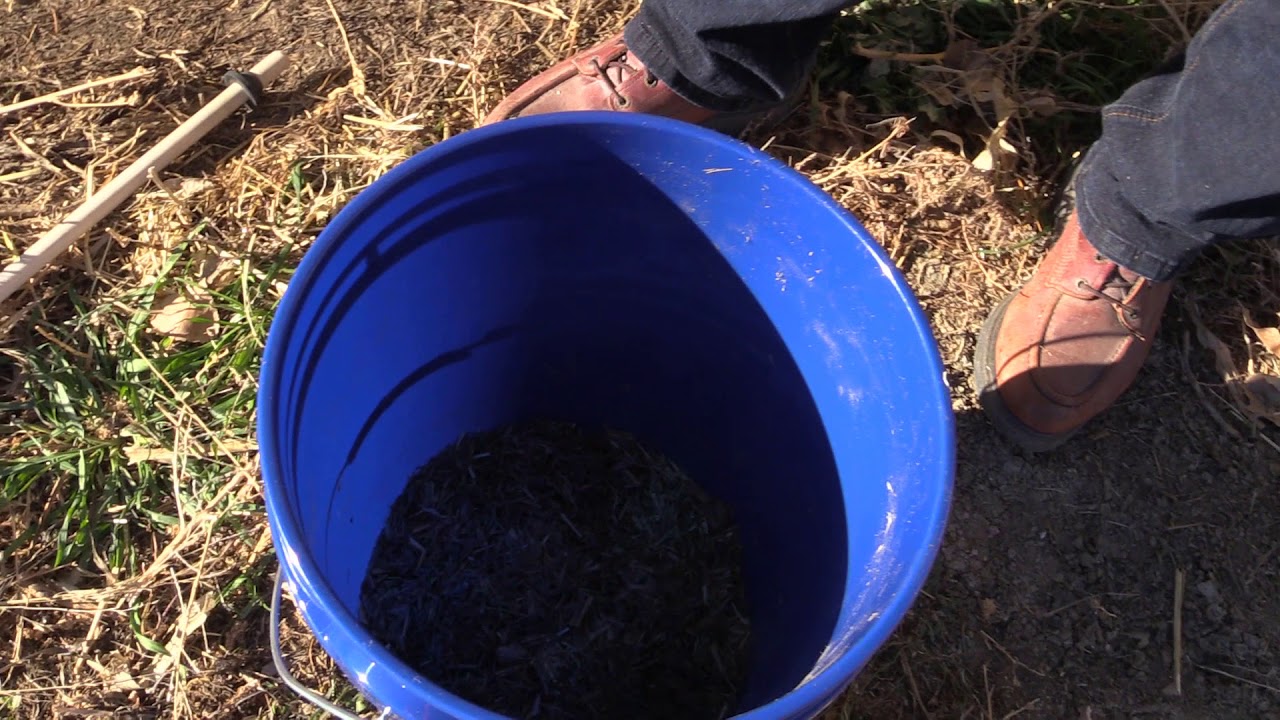 Forage Sampling
