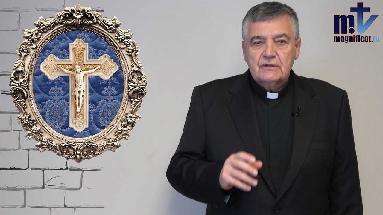 Una Iglesia entre Lefebvre y el Camino Sinodal: el desafío de la unidad | P. Santiago Martín FM