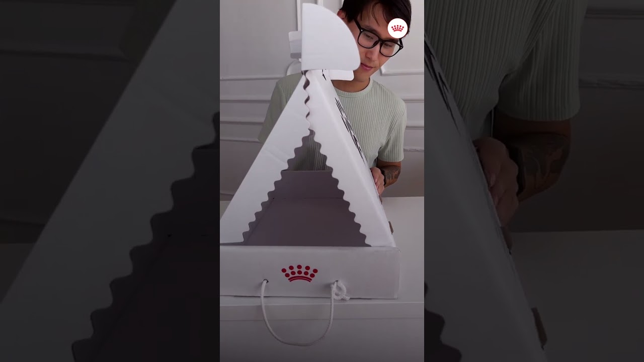 Распаковка Подарка для котёнка от Royal Canin&reg;️ 🎁🐈