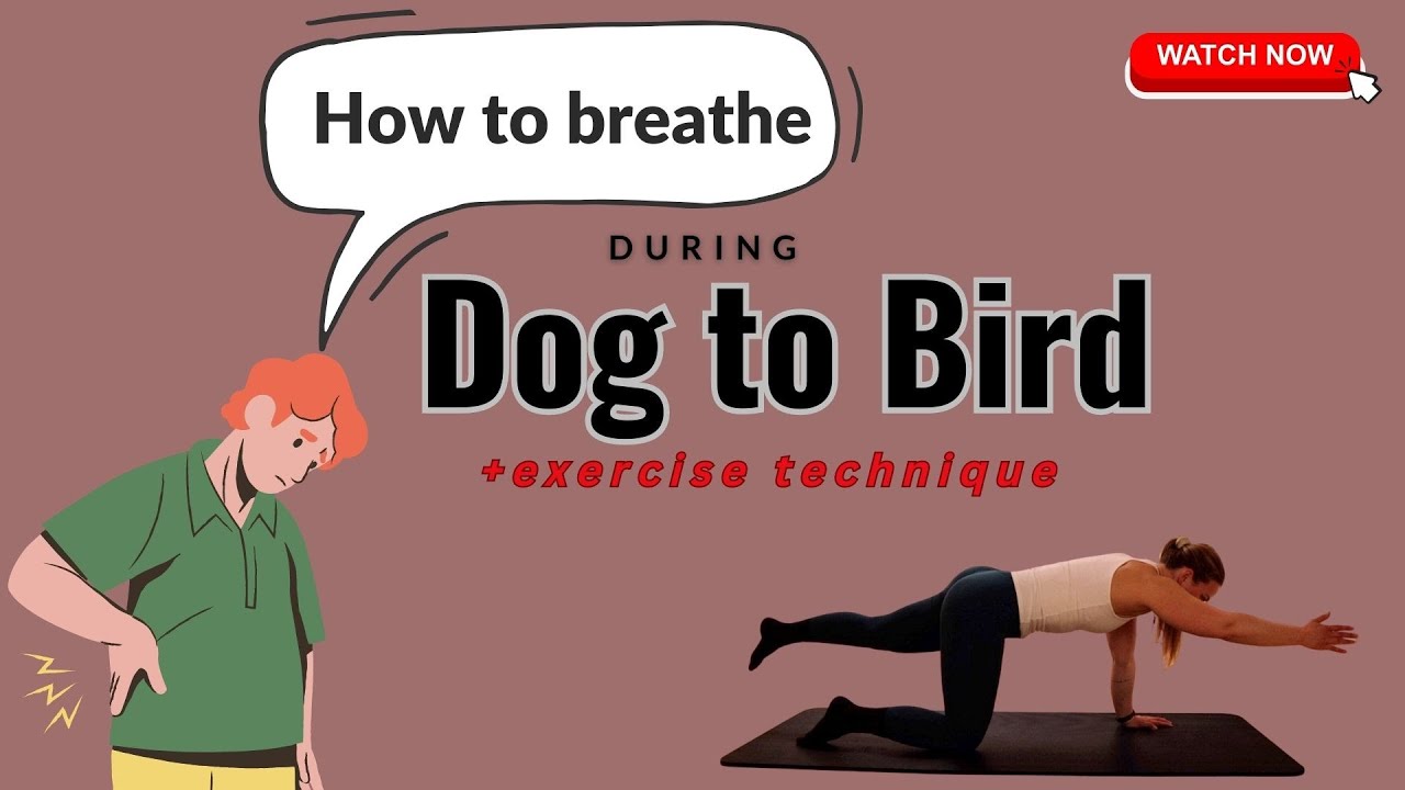 HOW TO....breathe during exercise??? | DOG TO BIRD | Controlled Breathing Workout
