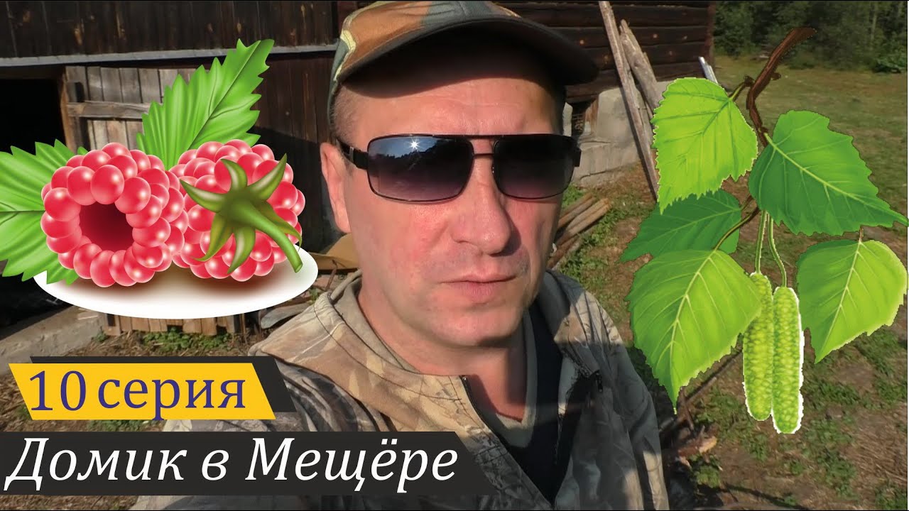 Малиново-берёзовый выпуск. Домик в Мещёре, серия 10