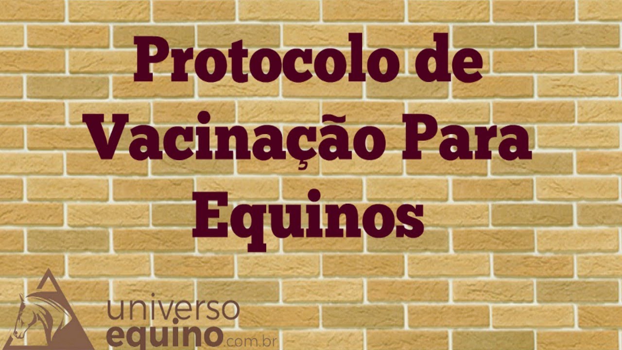 Protocolo De Vacinação para Equinos