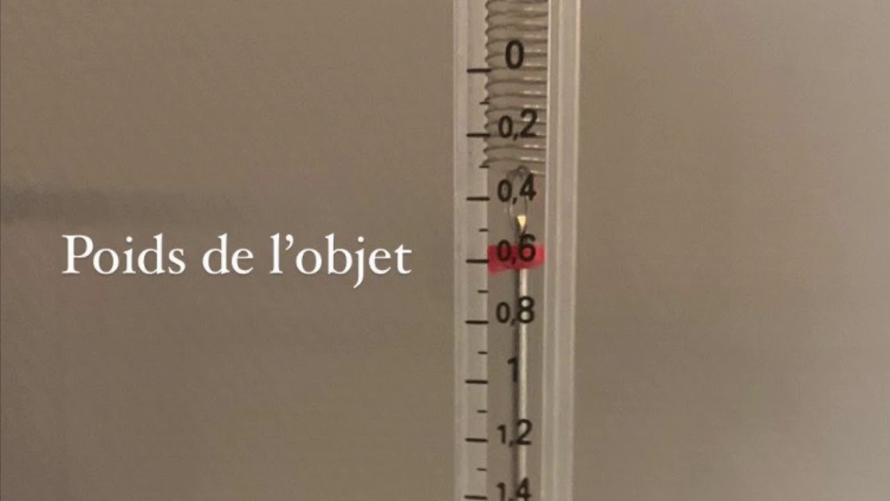 Influence de la nature du liquide sur la poussée d’Archimède