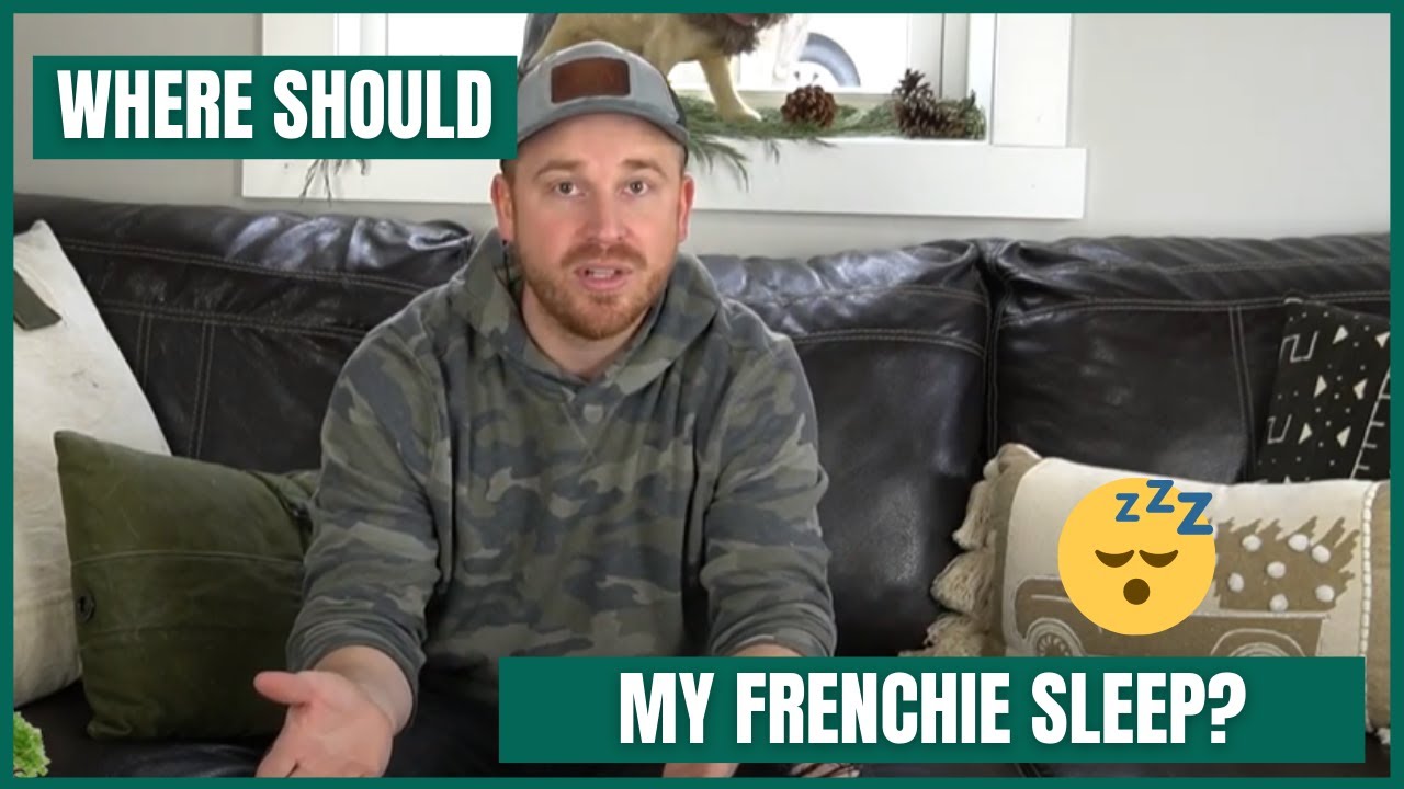 Where should my Frenchie Sleep?