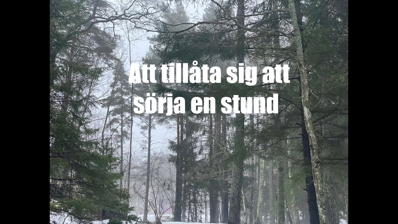 Att tillåta sig att sörja en stund och sen återvända till tacksamheten