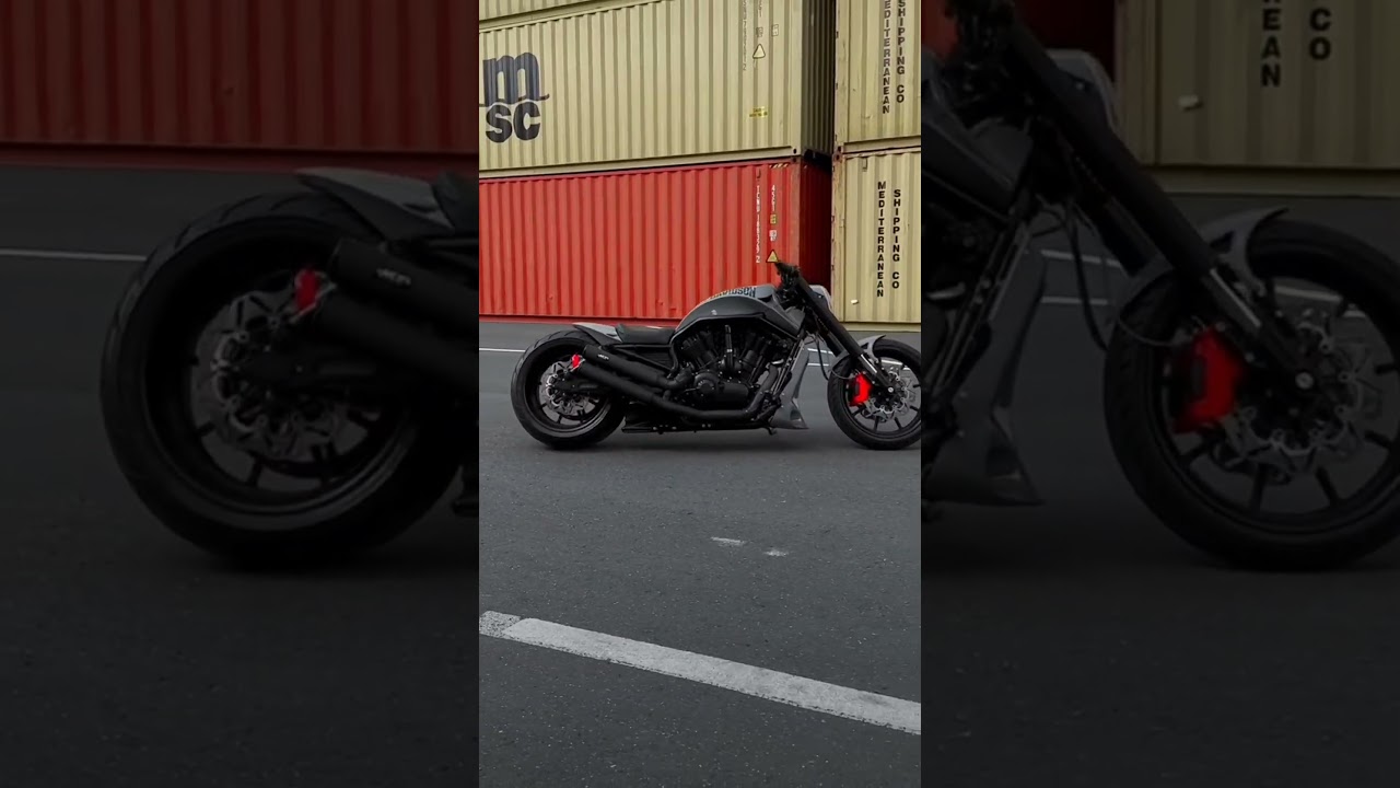 Harley Davidson V-ROD 🔥🦁 #harleydavidson #harleydavidsonmotorcycle #vrodmuscle #roadandtyres #vrod