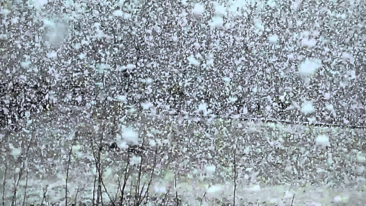 HEAVY SNOW IN MID WALES