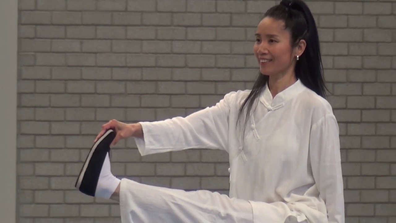 Fan Kung Fu Seminar - Shifu Yan Fei