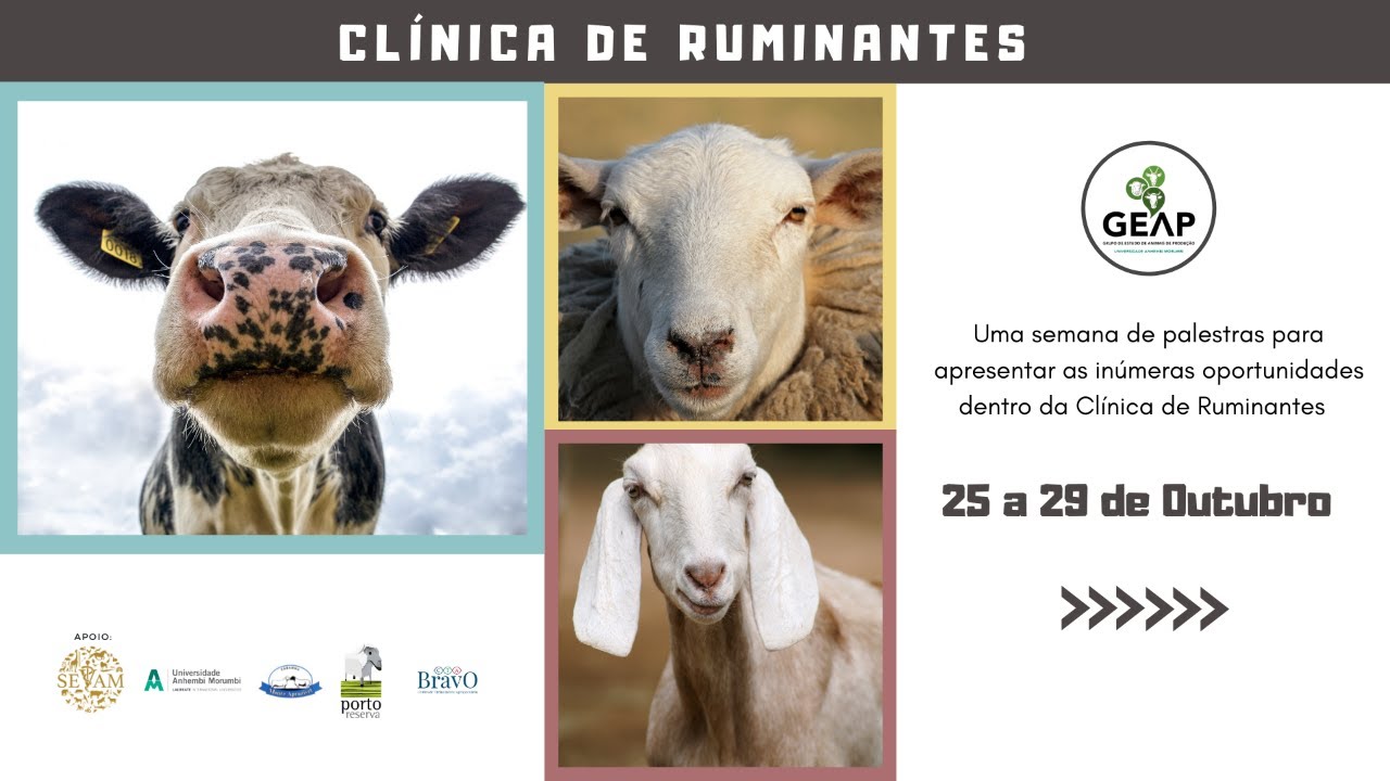 Verminoses em ruminantes | SEMANA DE CL&Iacute;NICA DE RUMINANTES