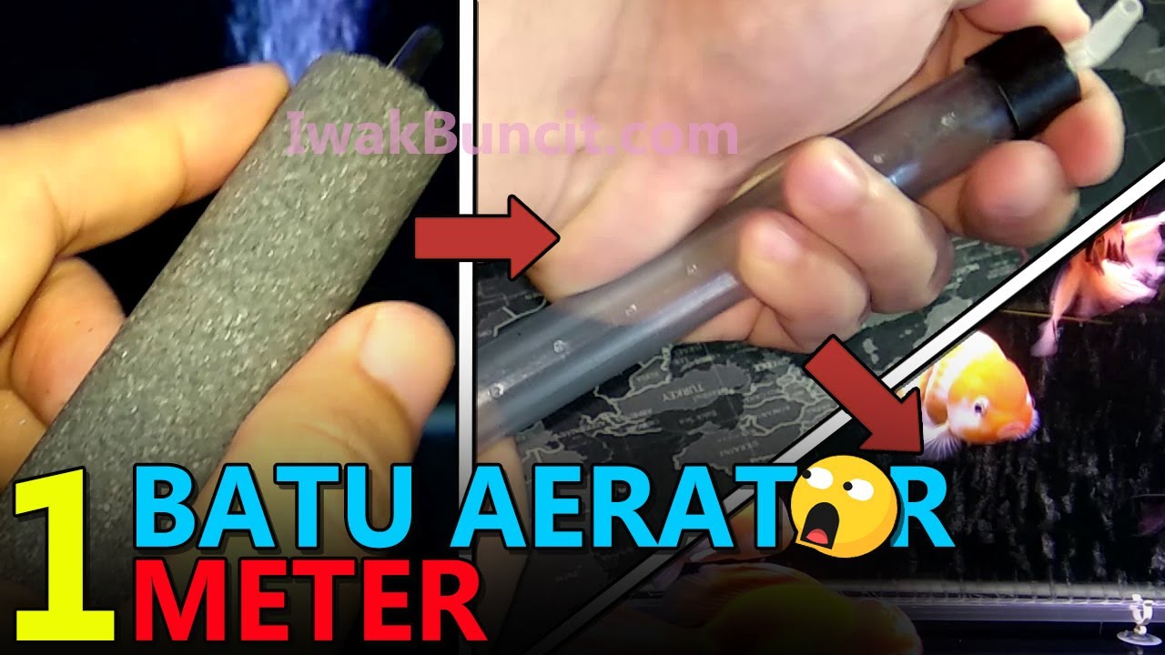 Cara Membuat Batu Aerator Aquarium Sepanjang 1 Meter: Unik, Mudah dan Murah, Gelembung Merata 👍
