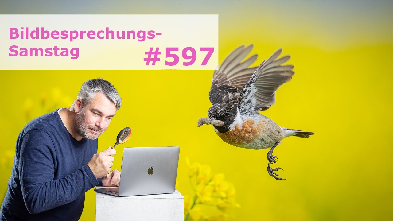 Bildbesprechung 597