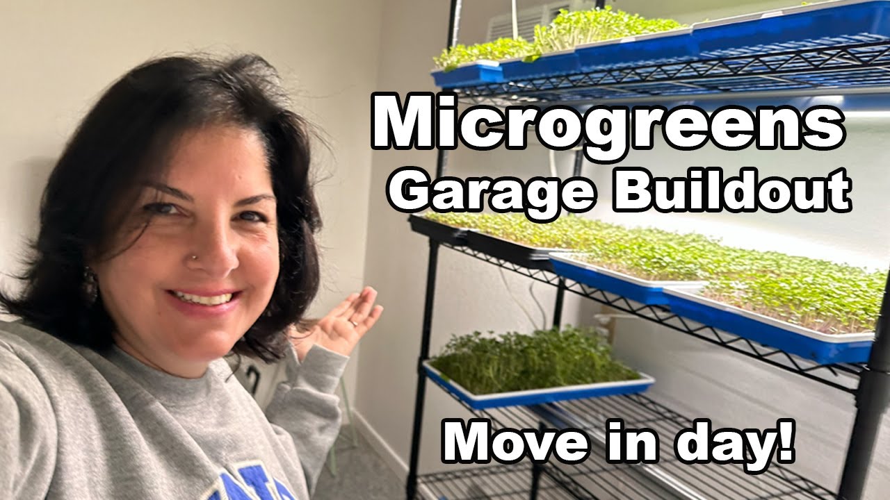 Microgreens Garage Buildout