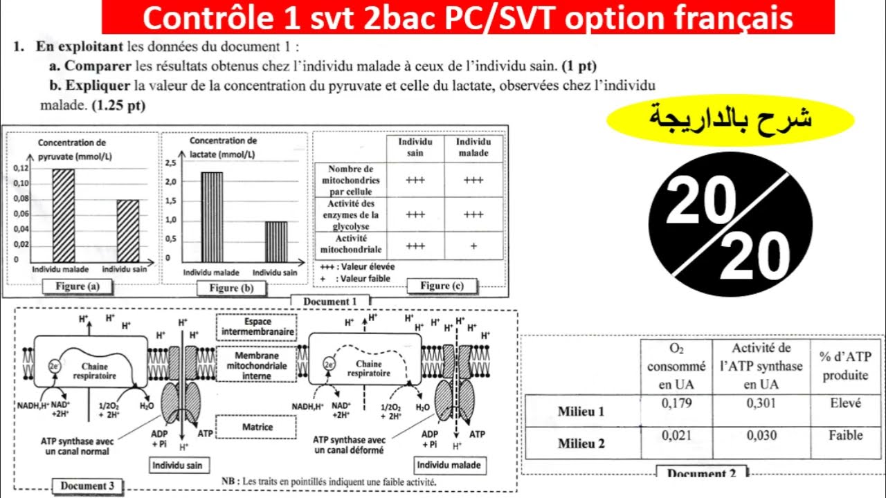 contrôle 1 svt 2bac consommation de la matière organique et flux d'énergie (شرح بالداريجة)