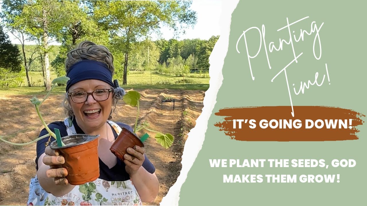 New Growing Season Begins: Getting Plants in the Ground!