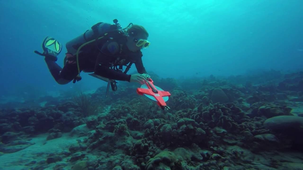 Transects video