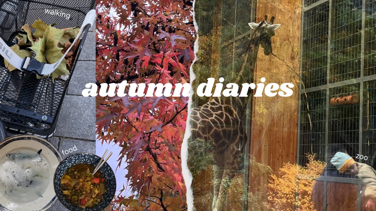 autumn diaries 🍁 | cozy season in Germany, food, zoo, office 