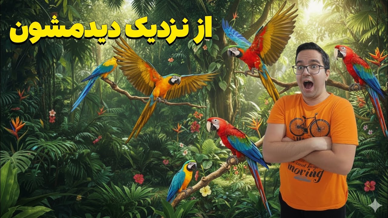پرندگانی که از نزدیک دیدنشون شوکه‌م کرد 😳🦜»