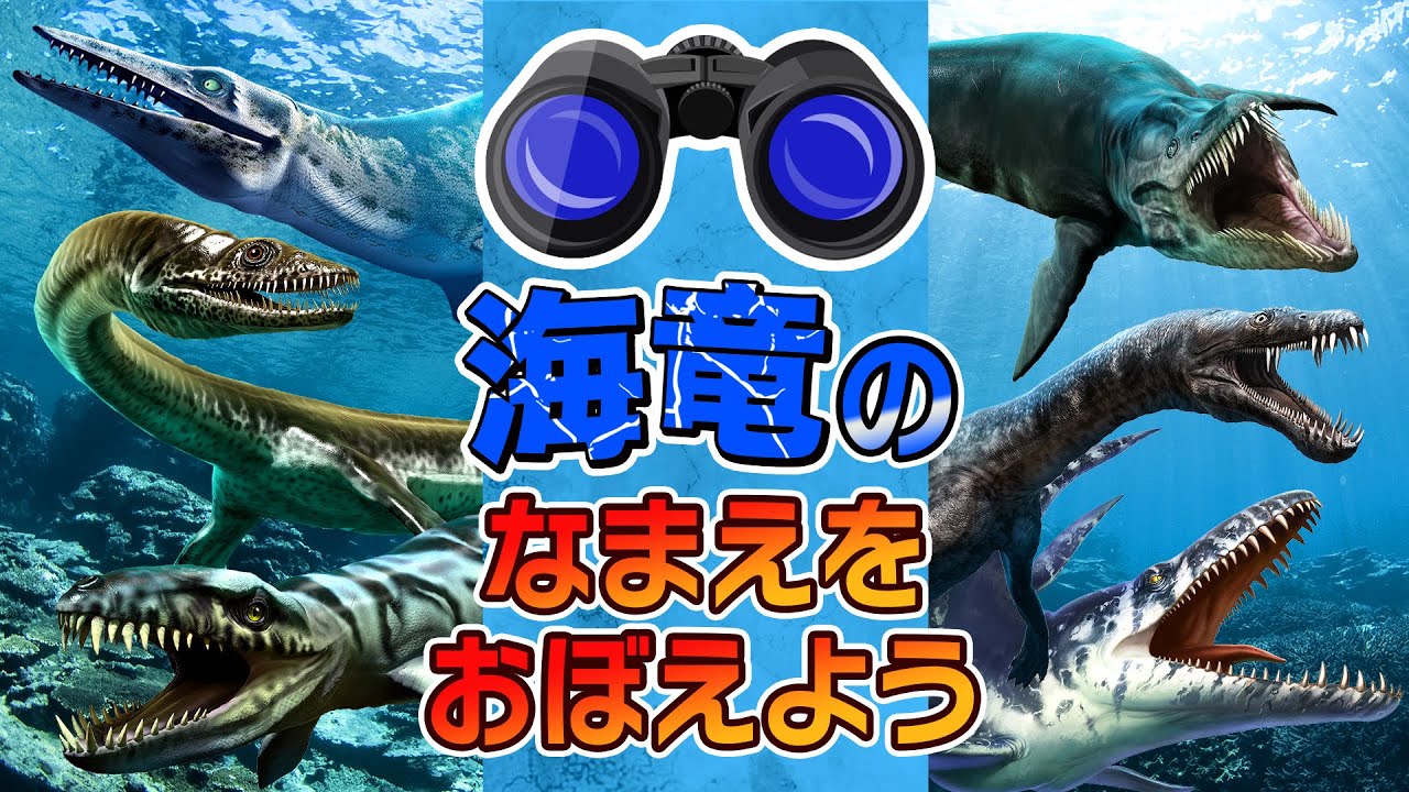 【★海の古生物！海竜の名前を覚えよう★】強い海竜を見つけてみよう！モササウルス,モササウルス,プレシオサウルス,エラスモサウルス