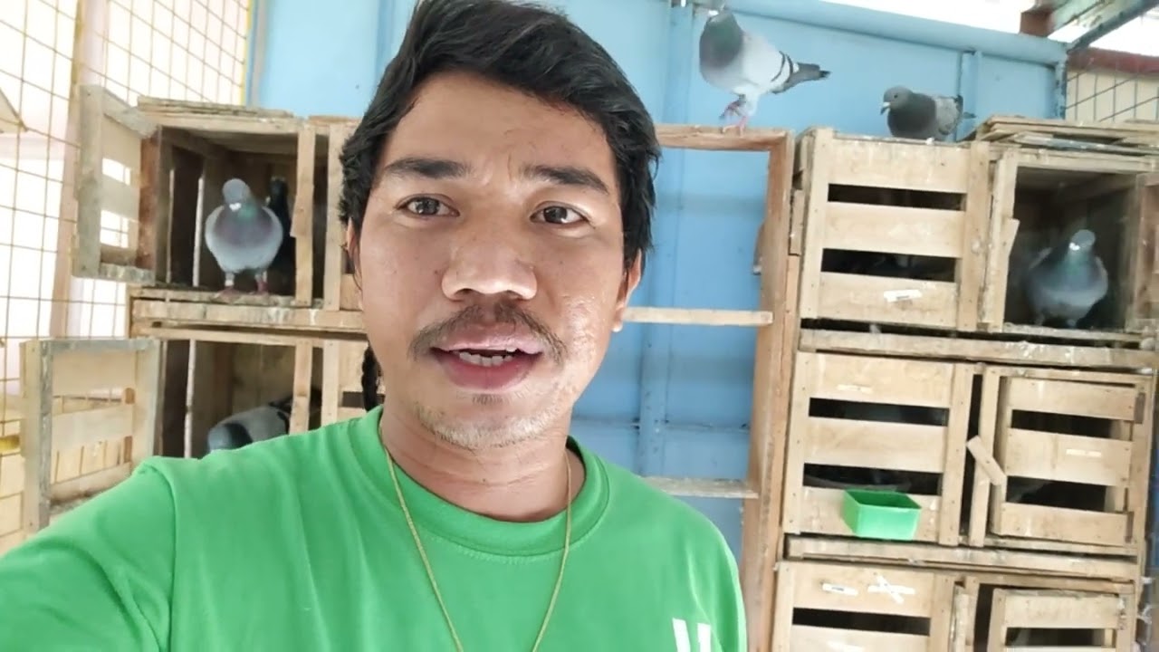 Kulitan ng tropa with tips,recovery and pointing🐦🐦 //astroboy george cayabyab