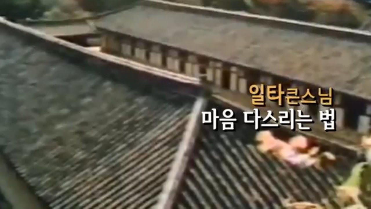 일타스님 설법 _마음 다스리는 법 제1설 / 모든 법은 인연에 의해서 생겼다가 인연이 다하면 없어지는 것..., 산 밖에 난 중이요. 물 밖에 난 고기라.