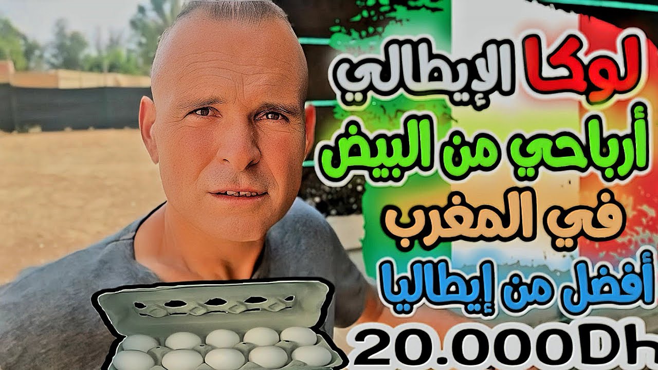 لوكا لإيطالي باع 200 بقرة ومزرعته في تورينو👋  وهاجر للمغرب🇲🇦هذه كانت قصته في تربية الدجاج بدكالة🌾