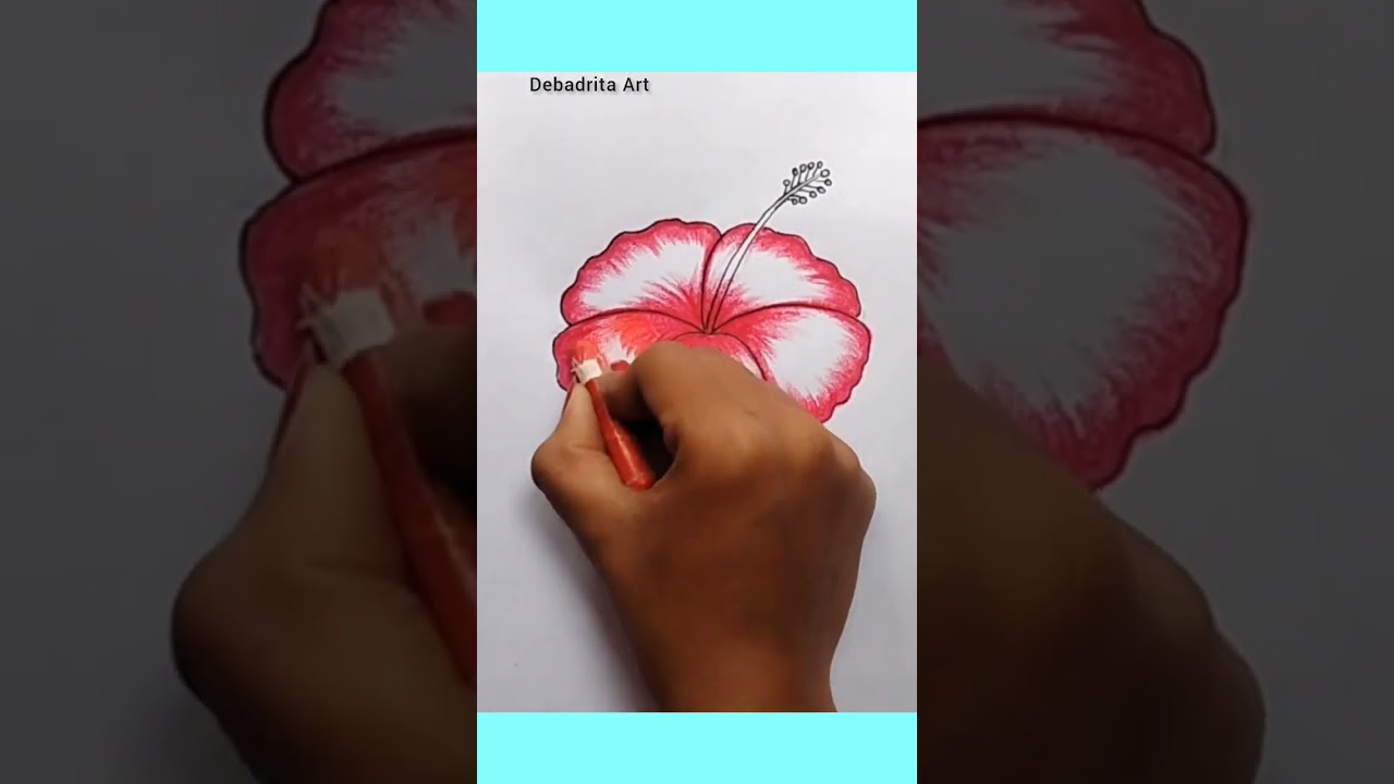 China rose \\ Hibiscus flowers drawing #shorts  #viral