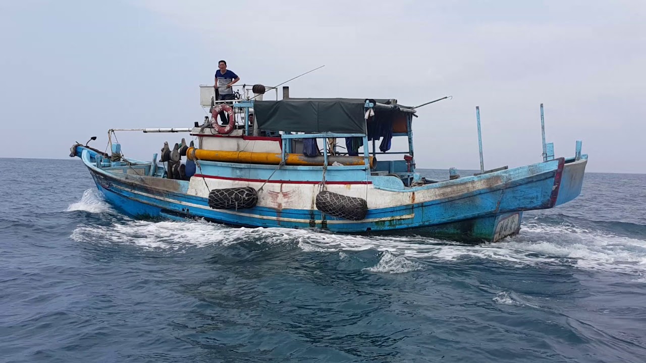 取締流刺網現行犯