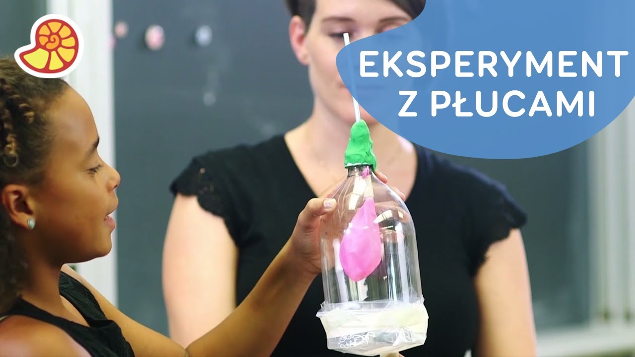 Zabawny eksperyment biologiczny 🫁 | Kiedy dorosnę