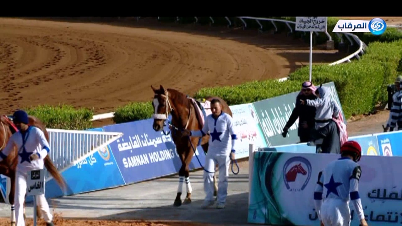 ميدان الفروسية بمحافظة الزلفي للتصفيات التمهيدية لدورة كاس عز الخيل الثانية والعشرون