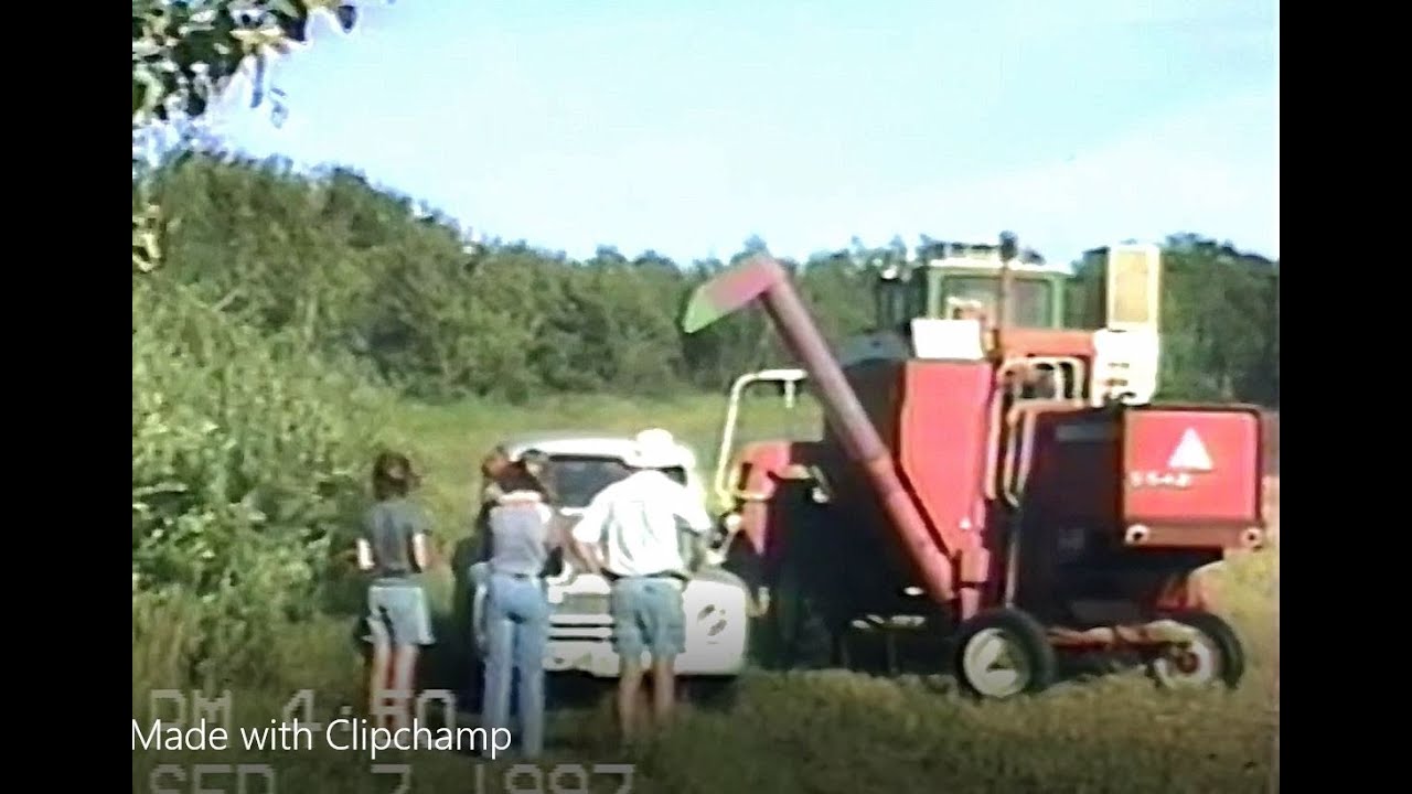 Сбор урожая овса 1997 года