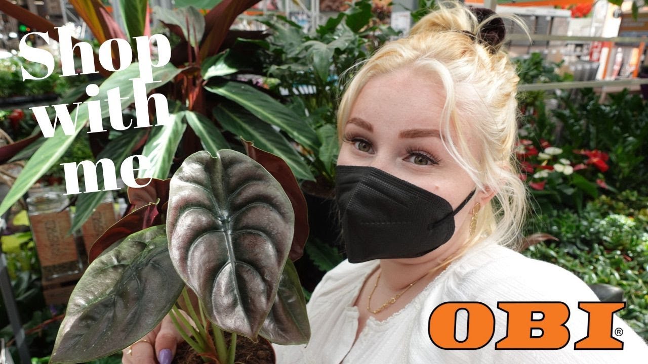 PFLANZEN Shop with me | Follow me around bei OBI 🪴 + HAUL ✨ *RARITÄTEN*