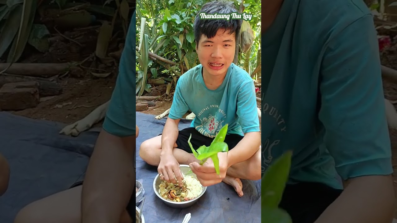 ကွမ်းသီး ဒုတိယတစ်ပြန်ခူးမယ်🥰🤗