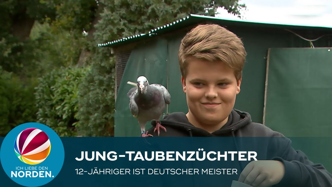 Jung-Taubenzüchter: 12-Jähriger aus Owschlag ist Deutscher Meister