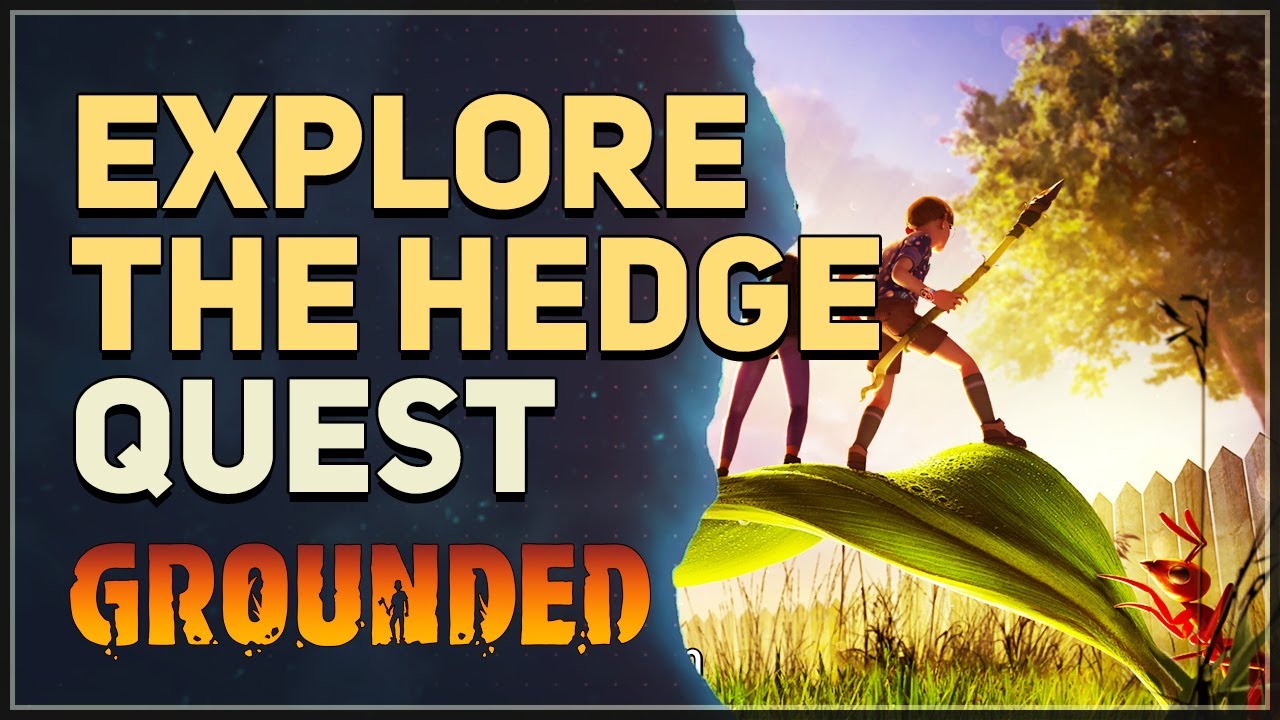 Explore the Hedge Lab Grounded