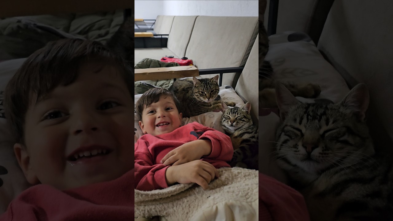 baby boy, cat, love