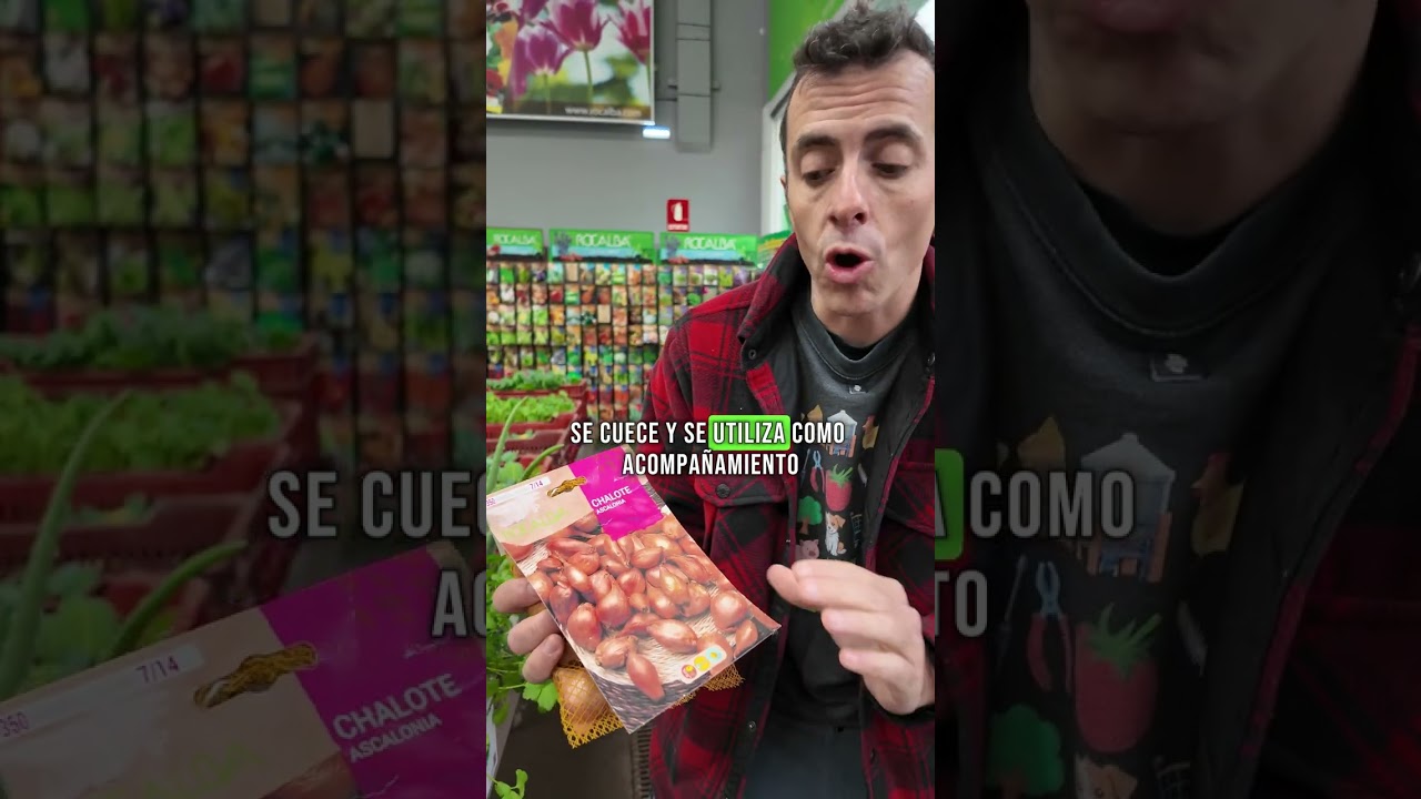 🧅 ¿Qué es el chalote? Sólo puedes plantar ahora