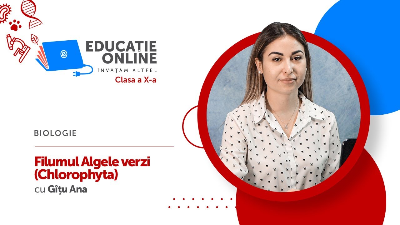 Biologie, clasa a X-a, Filumul Algele verzi (Chlorophyta)