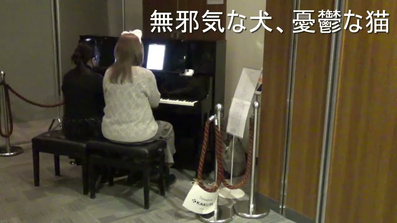 PianoDuo㉚Cat