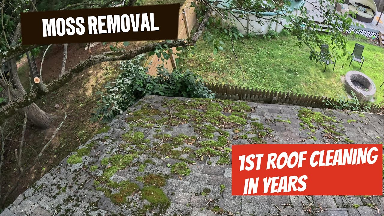 Removing very old Moss from my garage roof. Ep15