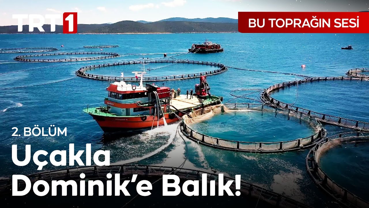 Kafes Balıkçılığı Nasıl Yapılıyor? - Bu Toprağın Sesi 2. Bölüm