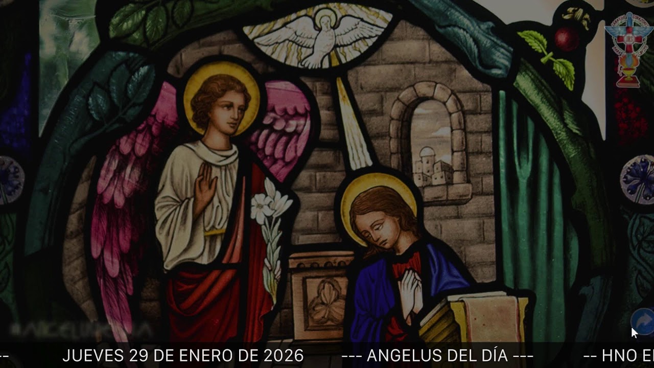 ANGELUS DEL DÍA. JUEVES 29 DE ENERO DE 2026